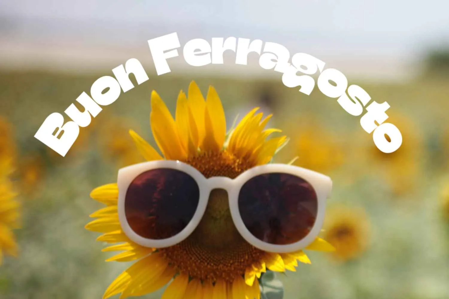Auguri di Buon Ferragosto: le frasi, immagini e GIF più belle (e meno scontate) da mandare su whatsapp