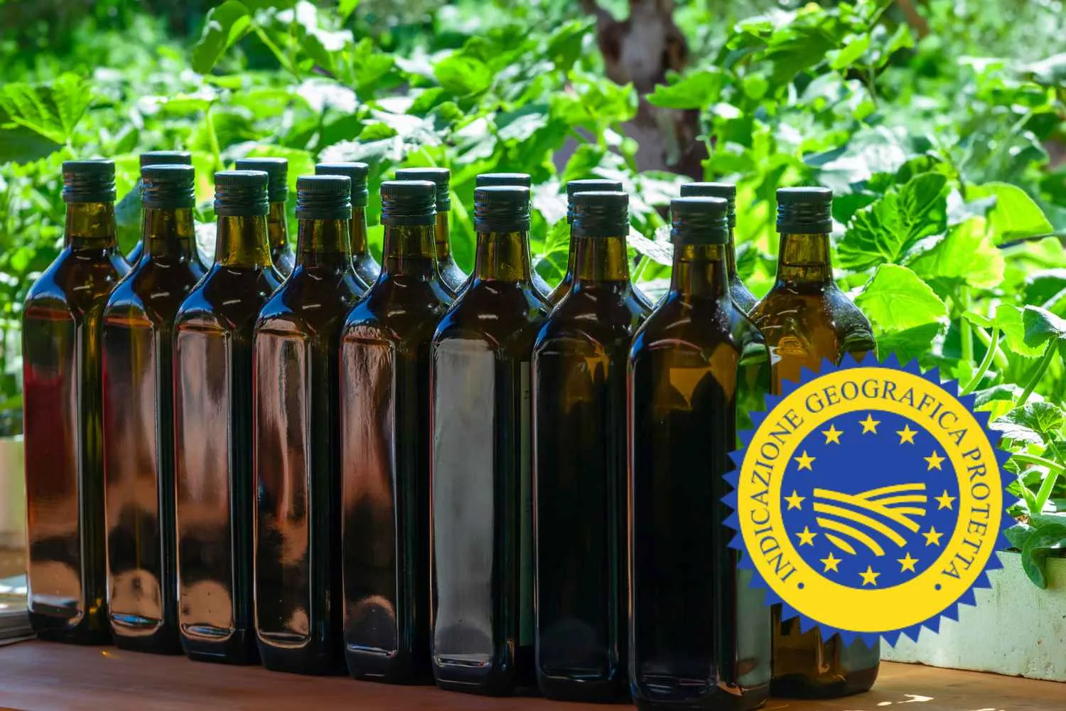 Olio Toscano IGP, produzione in aumento fino al 40%: è una delle migliori annate degli ultimi 10 anni