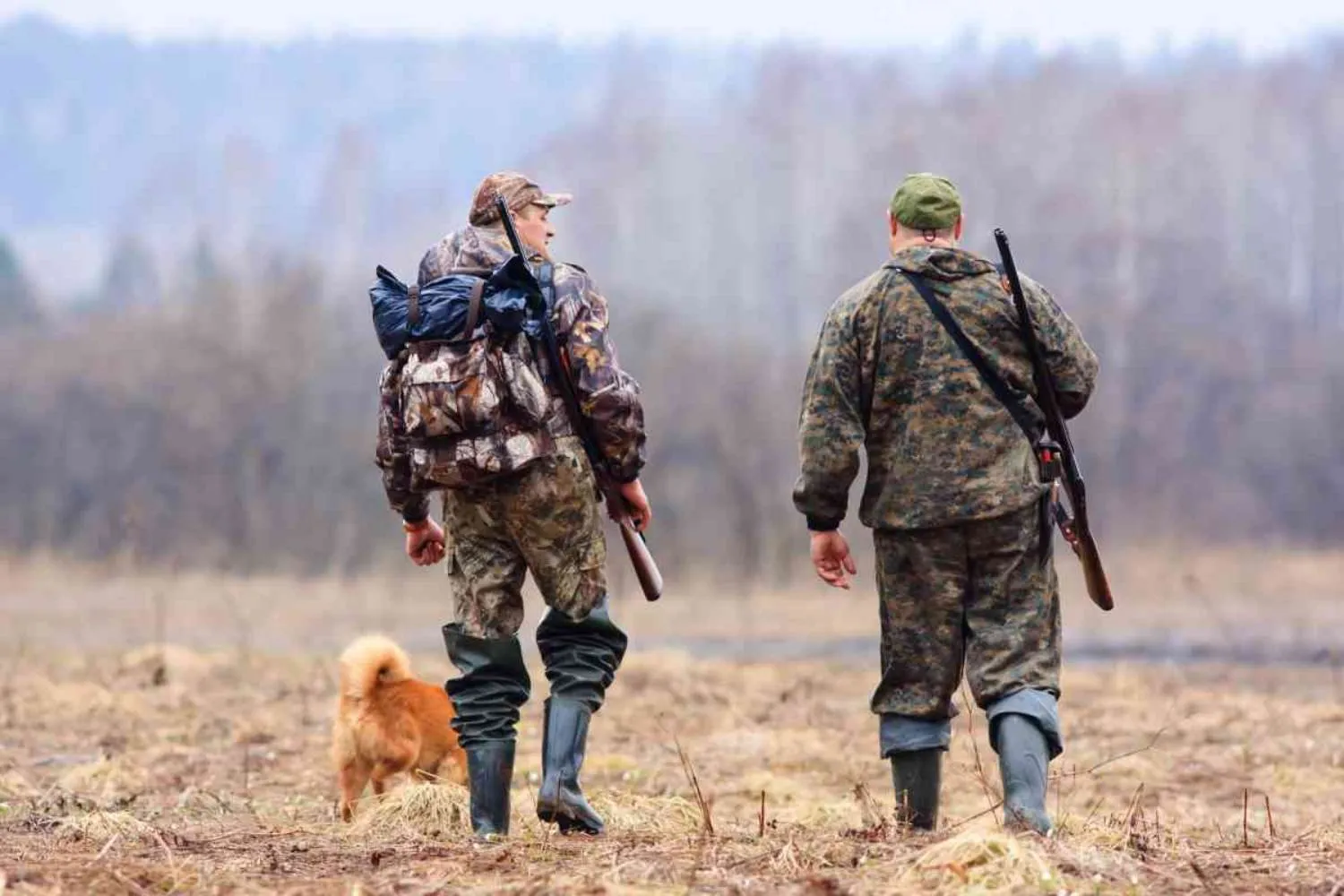 Cacciatori vS Animalisti in audizione alla Camera per il DDL "sparatutto". Cosa succede se passa il decreto