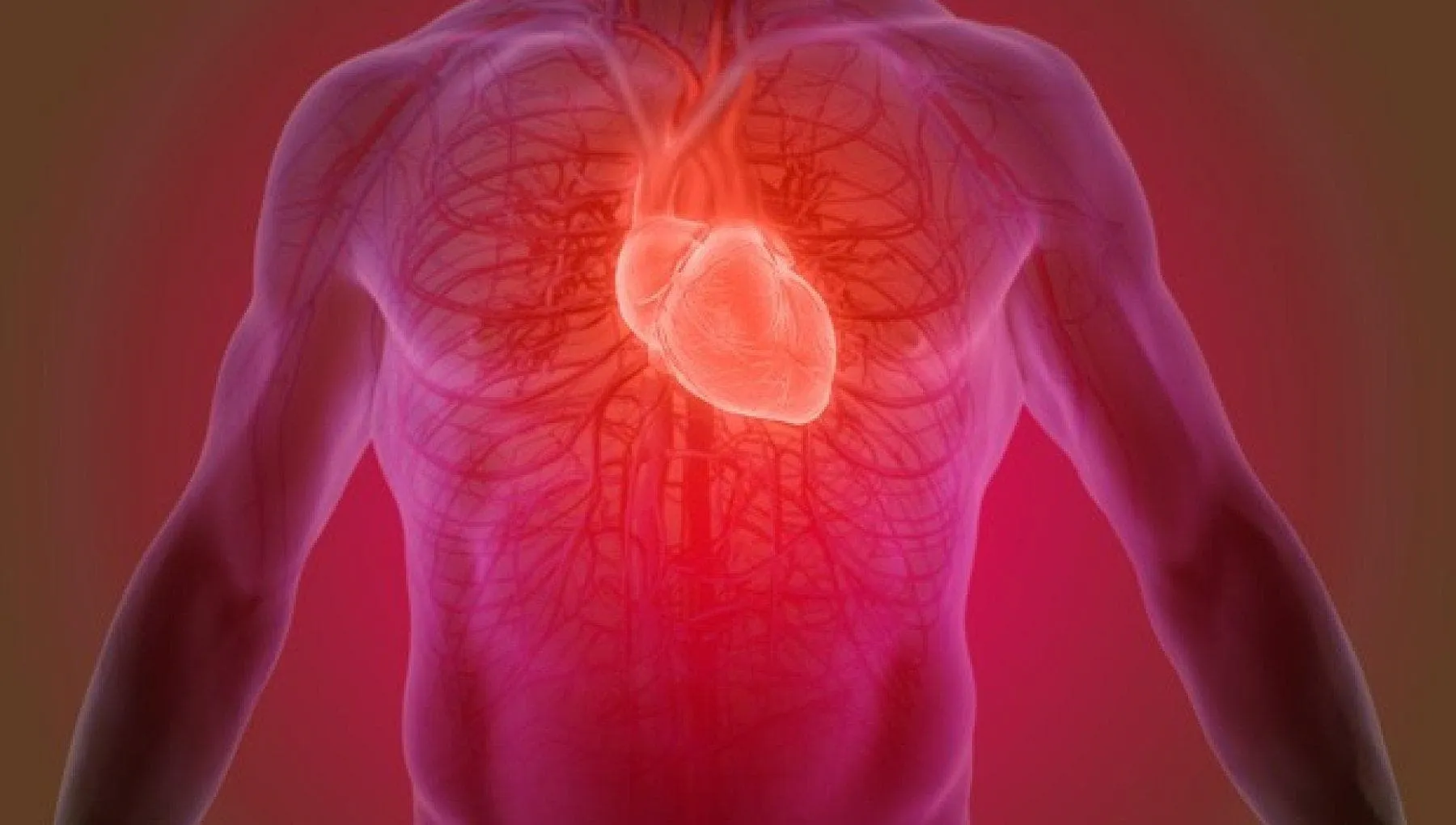 Infarto acuto, ecco l’analisi in 3D che aiuta a capire per quali arterie serve lo stent