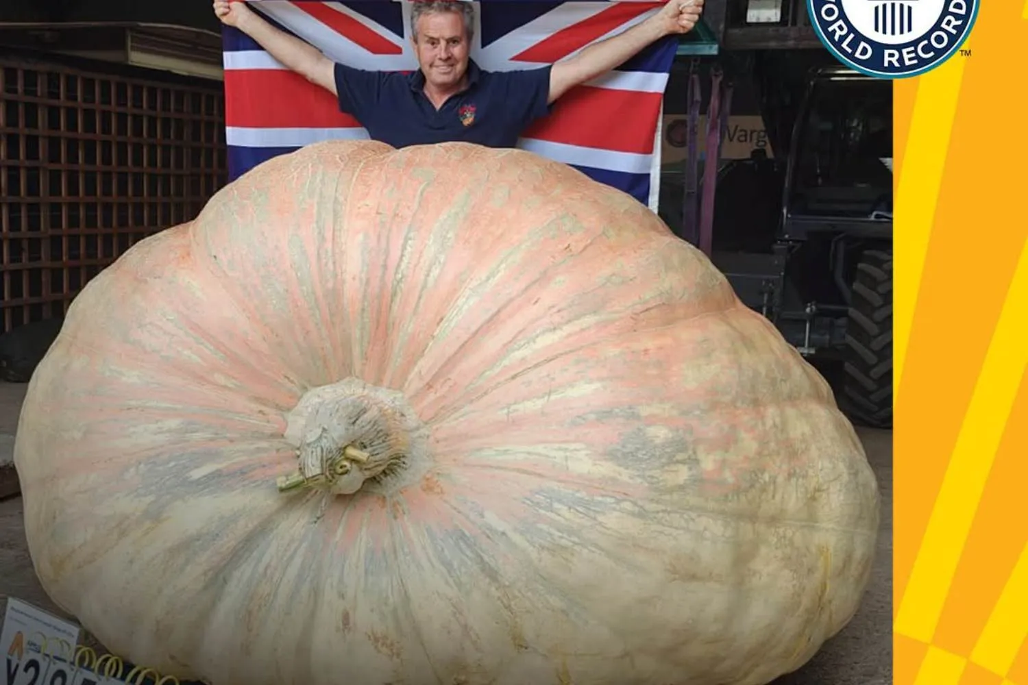 Questa zucca da record, ribattezzata Bagheera, pesa 1.295 kg (ma un'altra ancora più grande potrebbe rubarle il primato)