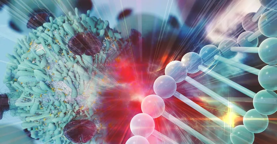 Tumore del pancreas metastatico: farmaco sperimentale raddoppia la sopravvivenza