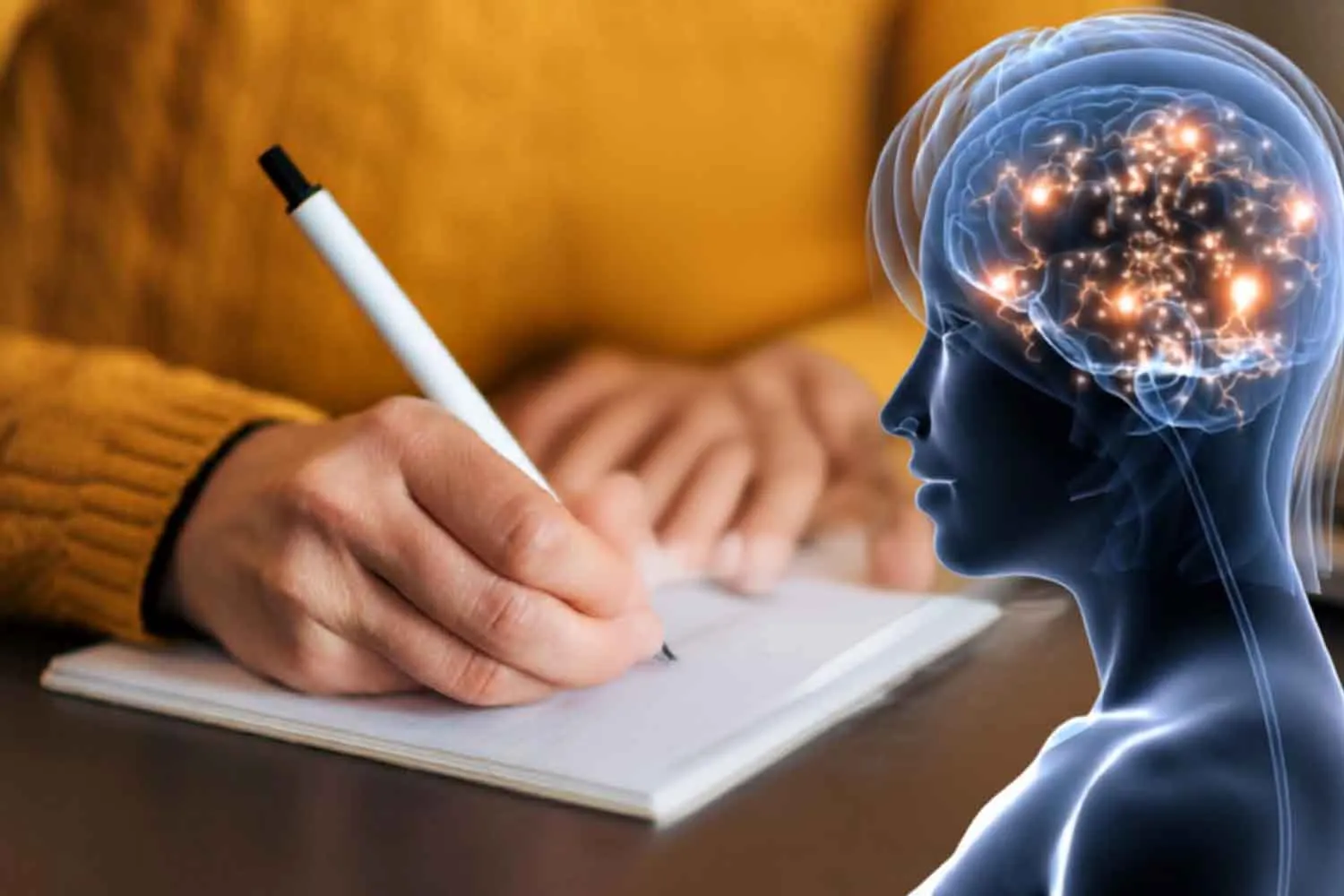 Scrivere a mano stimola il cervello molto di più che farlo su una tastiera. Studio svela perché non dovremmo mai smettere di usare il corsivo