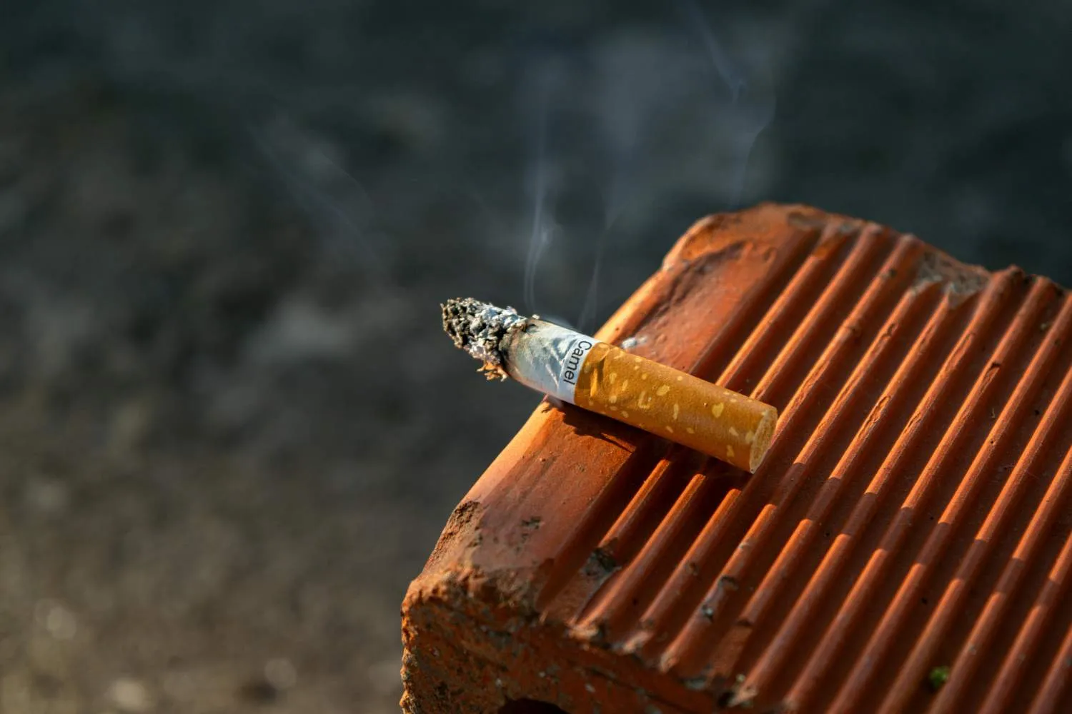 Questa università italiana vuole diventare Smoke Free: il piano per bandire il fumo entro il 2028 (riciclando i mozziconi)