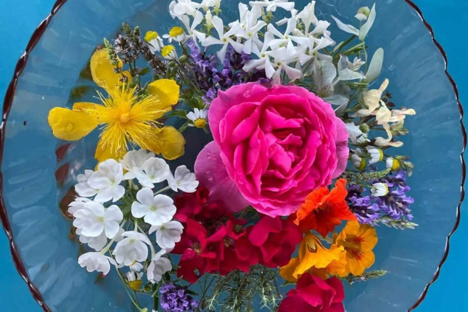 Quali fiori mettere nell'acqua di San Giovanni? Le erbe e i loro significati nella tradizione popolare