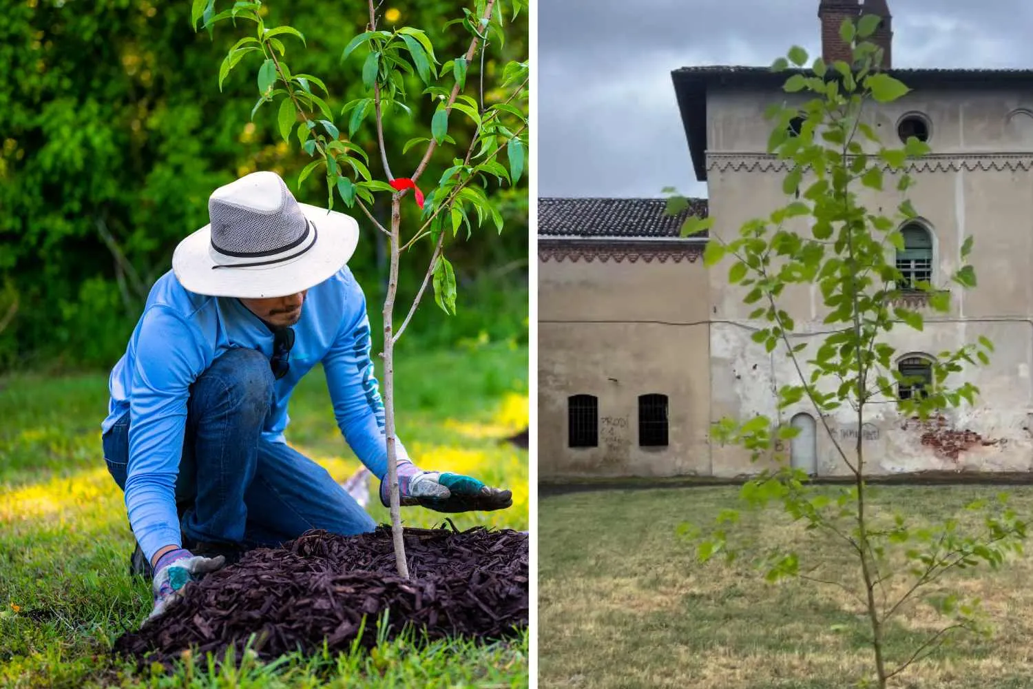 Piantaman, il “supereroe” mascherato che trasforma aiuole e rotonde dismesse in orti pubblici (seminando fiori e ortaggi)