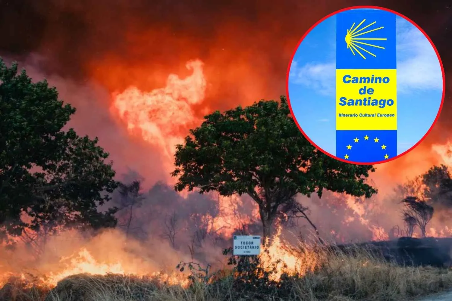 Incendi in Spagna, a rischio anche il Cammino di Santiago? Le tappe coinvolte e cosa sapere prima di partire