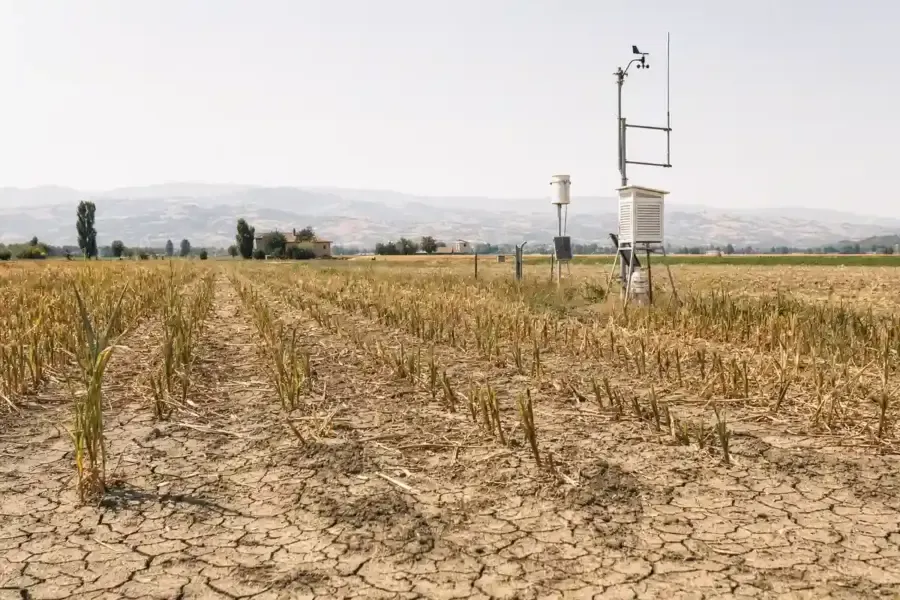 Estate 2026 da record in Italia: mai così calda dal 1950 – Ecoblog