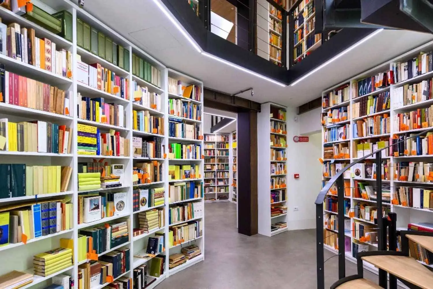 Inaugurata a Bologna la Biblioteca Eco: qui oltre 32mila volumi del semiologo scomparso 10 anni fa sono consultabili