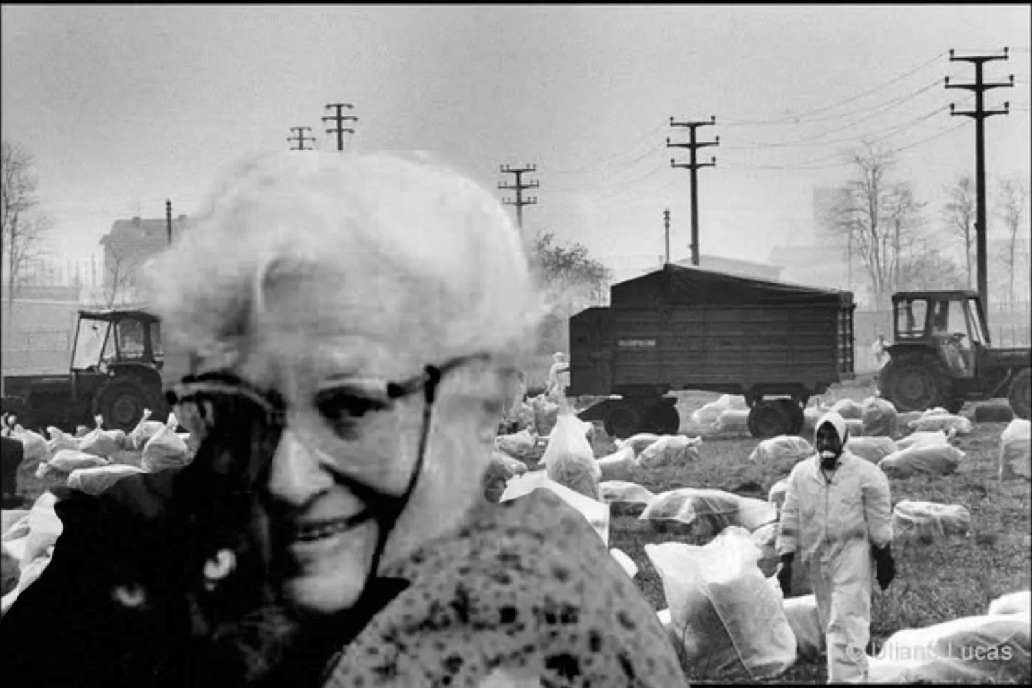 Disastro di Seveso: 50 anni dopo, perché non possiamo permetterci di dimenticare Laura Conti