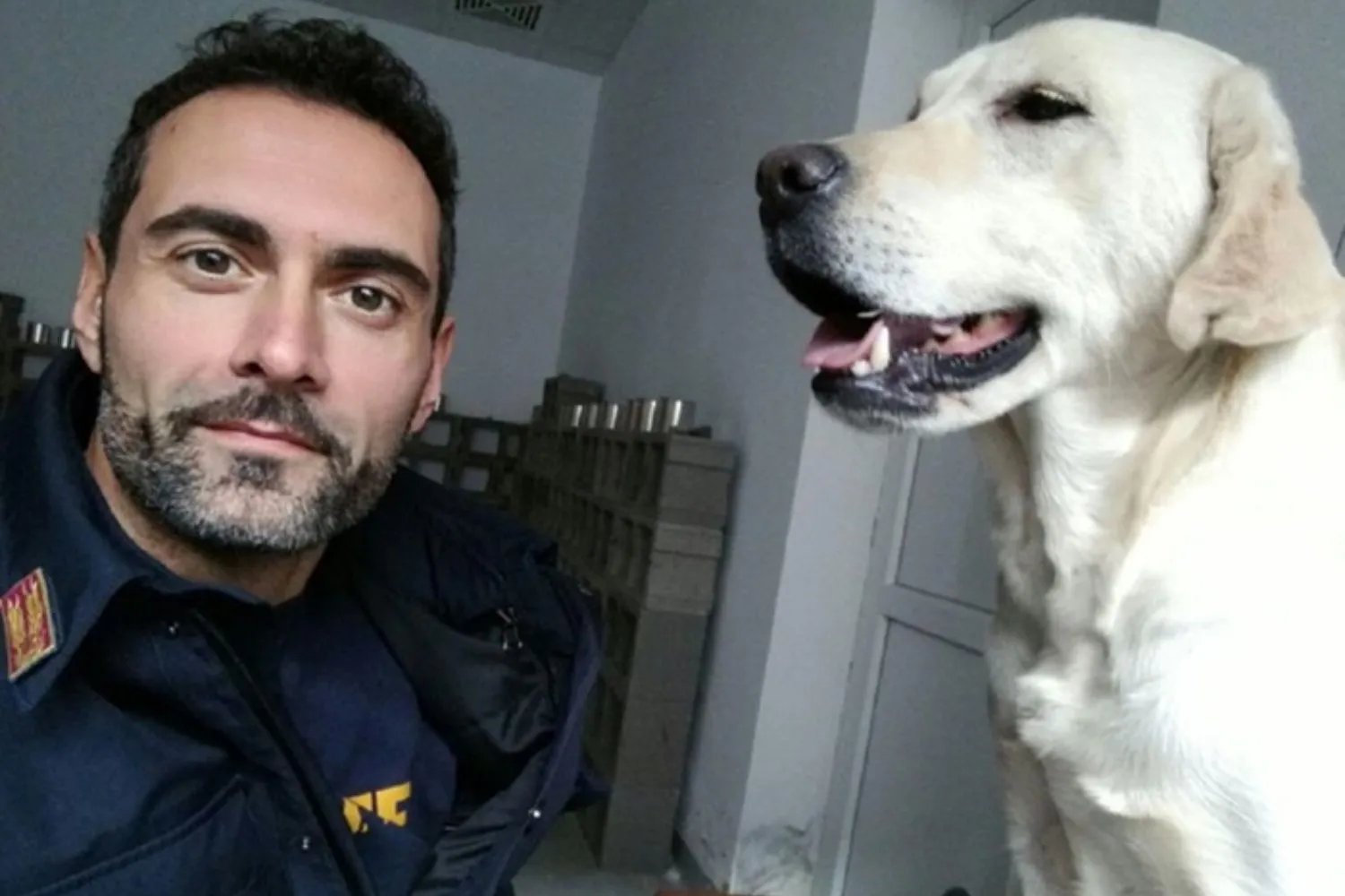 È morta Maya, il cane antiesplosivo in missione per 7 anni con la Polizia di Stato: il commovente post di addio