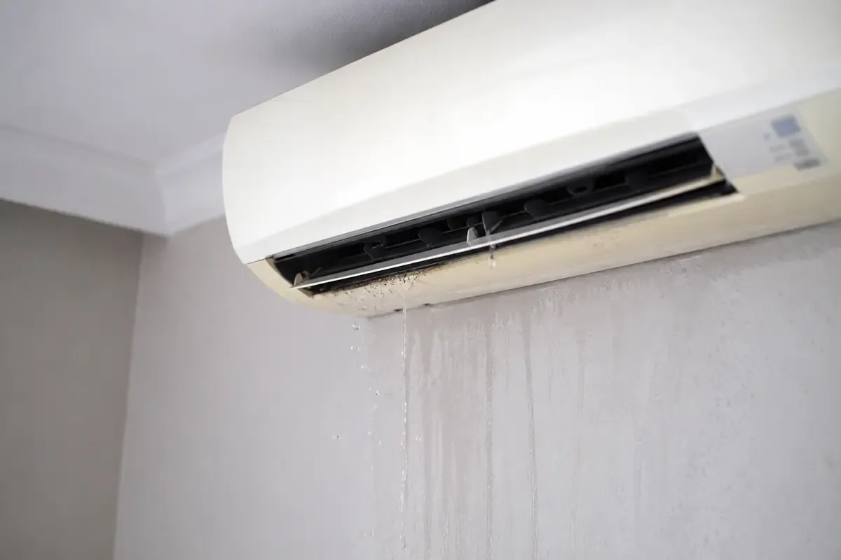 Condizionatore che puzza o perde acqua: i segnali da non sottovalutare – Ecoblog