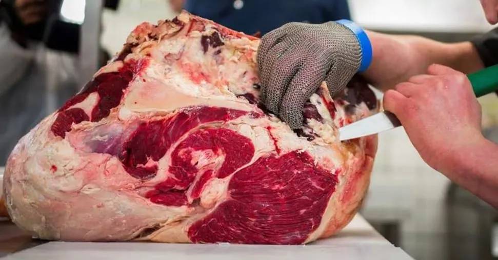 Carne, pesce o uova? Il menu lo decide il microbiota e non la gola