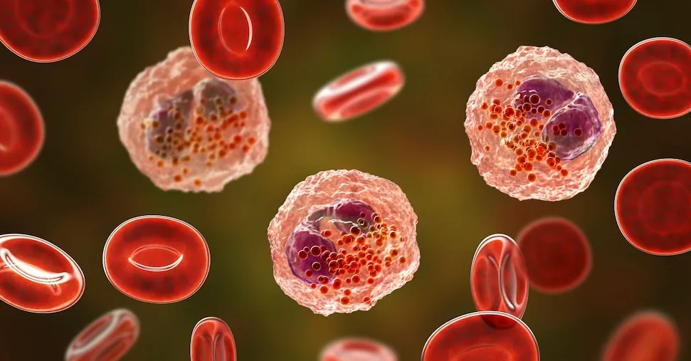 Tumori del sangue: dai test ai tempi di attesa, troppi gap nelle Regioni per accedere alle cure