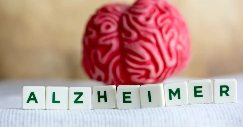 Alzheimer, anche se c’è malattia il cervello è resiliente e si autoripara