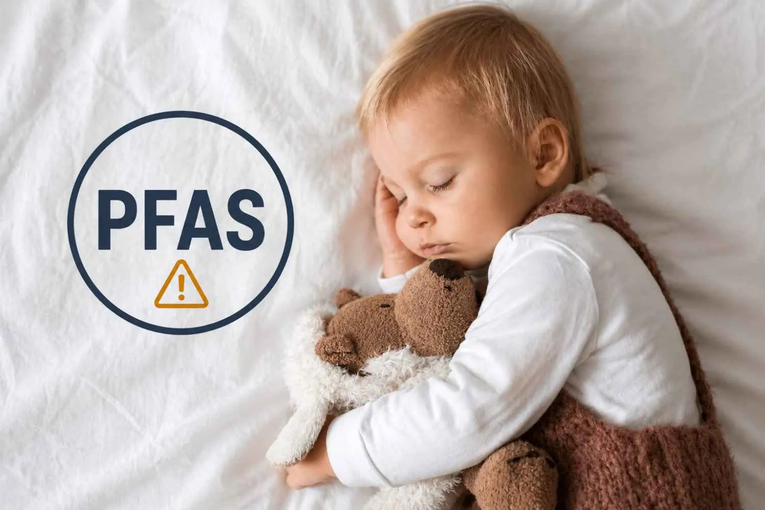 Il peluche preferito di tuo figlio potrebbe nascondere PFAS: un nuovo studio li ha trovati in tutti i 18 campioni analizzati