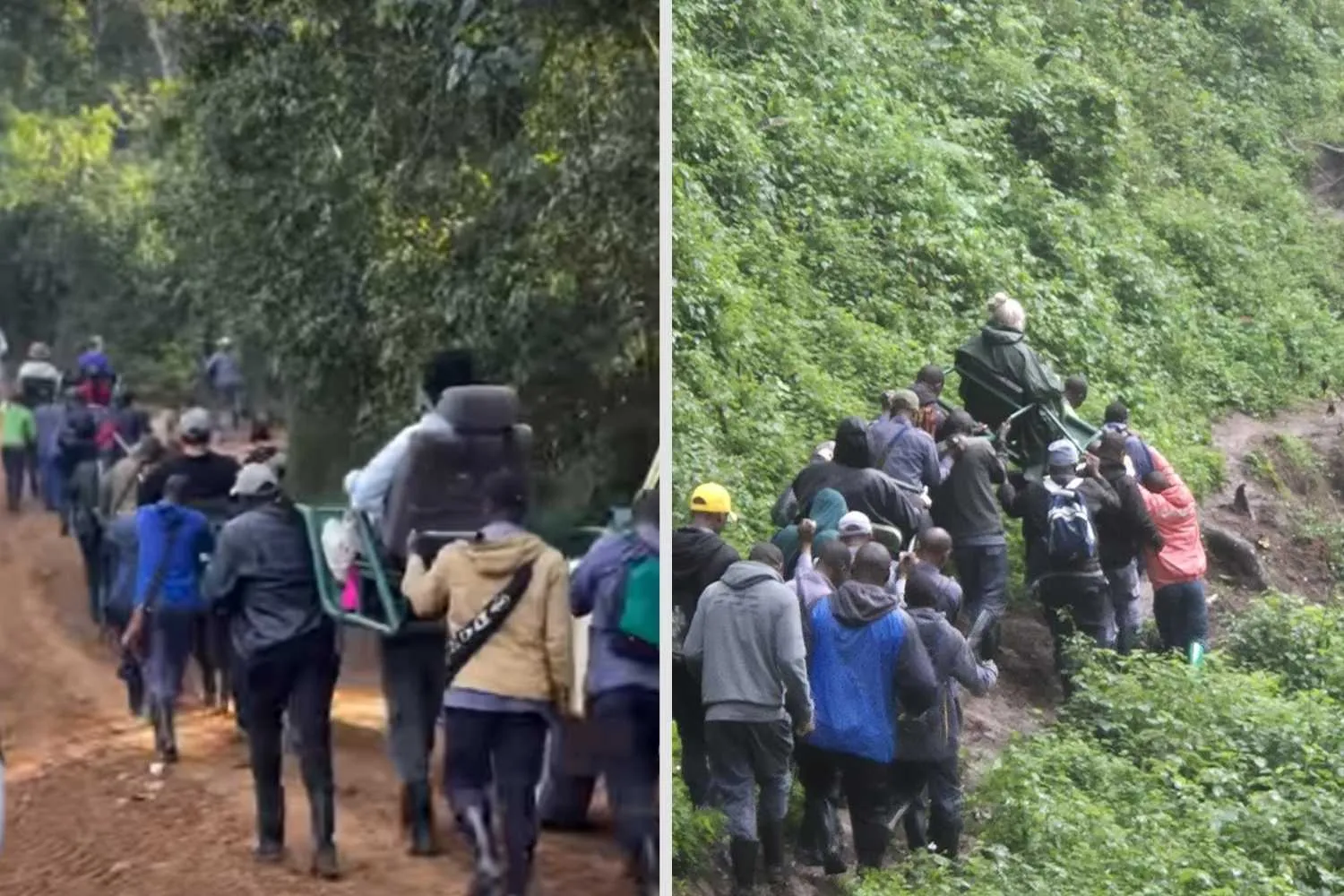 Turisti trasportati sulle spalle nella foresta per vedere i gorilla in Uganda: cosa si nasconde dietro le scene dal sapore coloniale