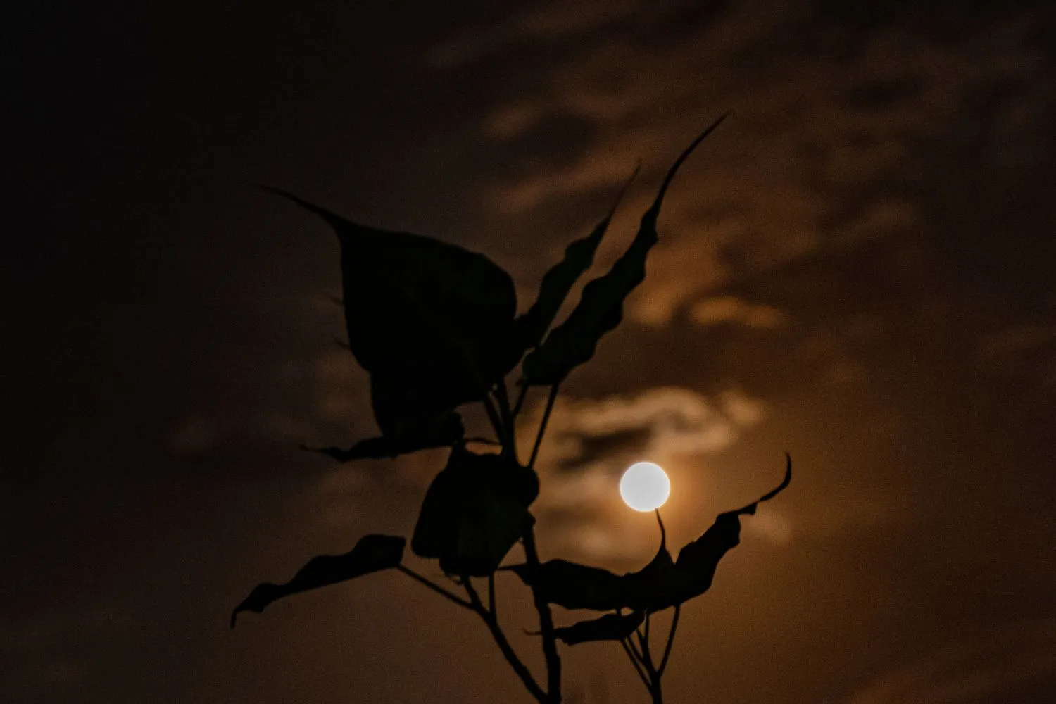 La prima luna piena d’estate sembrerà più piccola, tutti pronti per la microluna delle Fragole