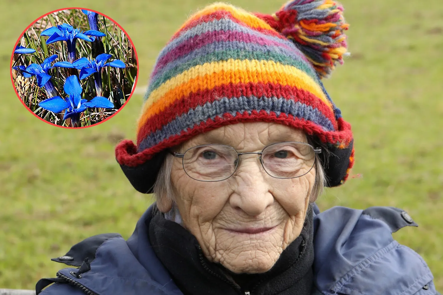 Margaret Bradshaw, l'instancabile botanica che a 100 anni continua a battersi per proteggere i fiori più rari d'Inghilterra