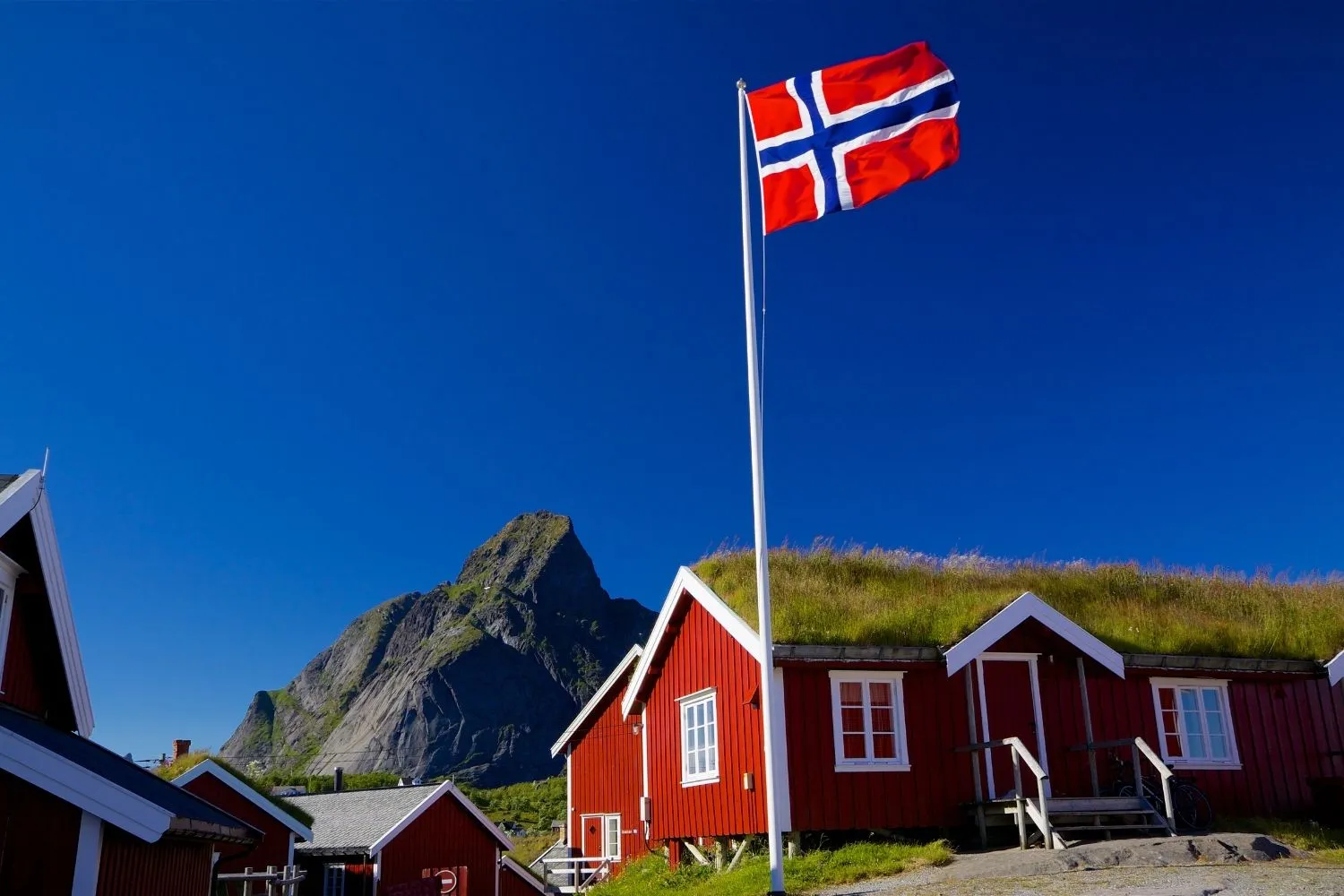 Norvegia gratis: come vivere nelle case dei fiordi accudendo cani e gatti al posto del proprietario