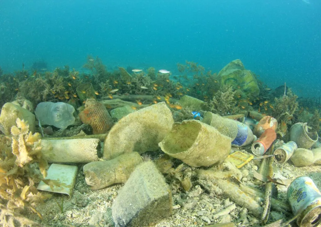 Le microplastiche non sono solo un problema ambientale: studio dimostra che causano ictus, infarti e obesità