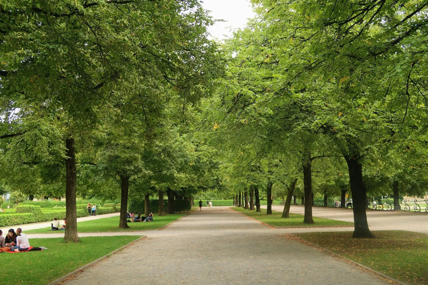 Il verde in città sta diventando un lusso per ricchi: lo studio che svela il “green divide” in Europa