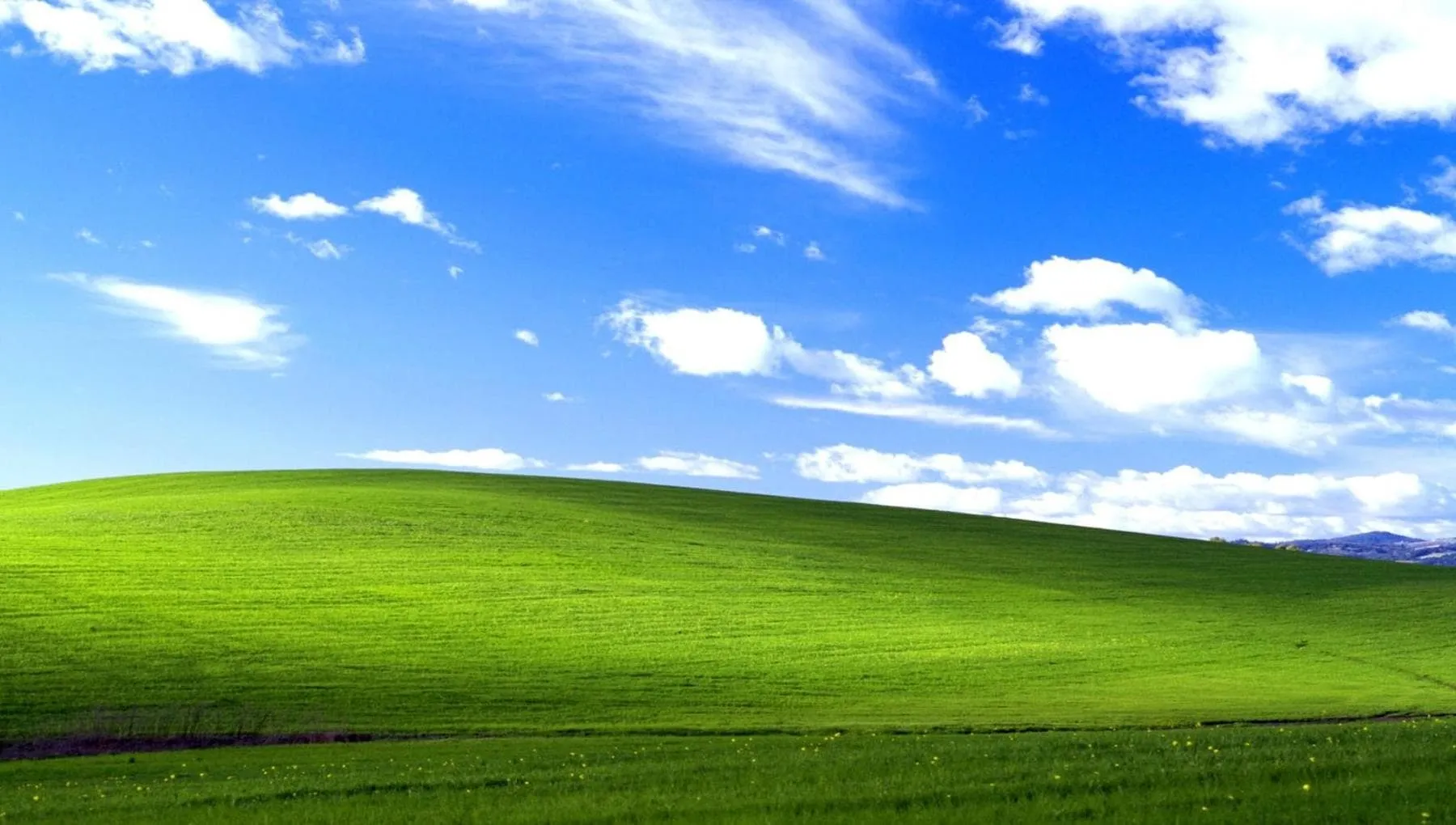 Windows XP compie 25 anni e c’è chi lo usa ancora