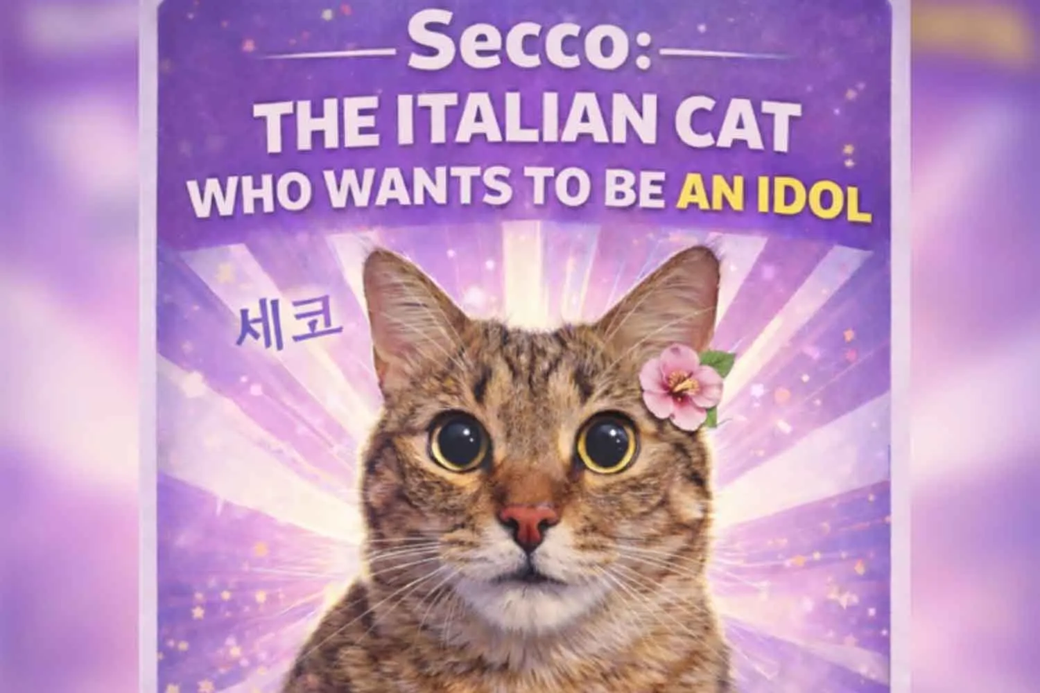 Dimentica gli influencer: Secco è il primo "cat idol" italiano che porta la Corea sul divano di casa