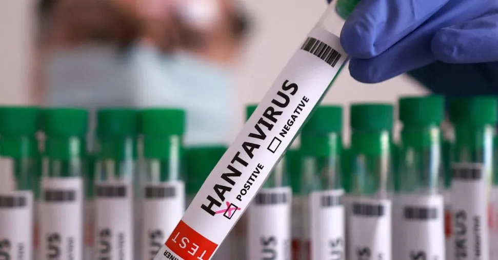 Hantavirus, sequenziato il virus del paziente in crociera: “Non è mutato”