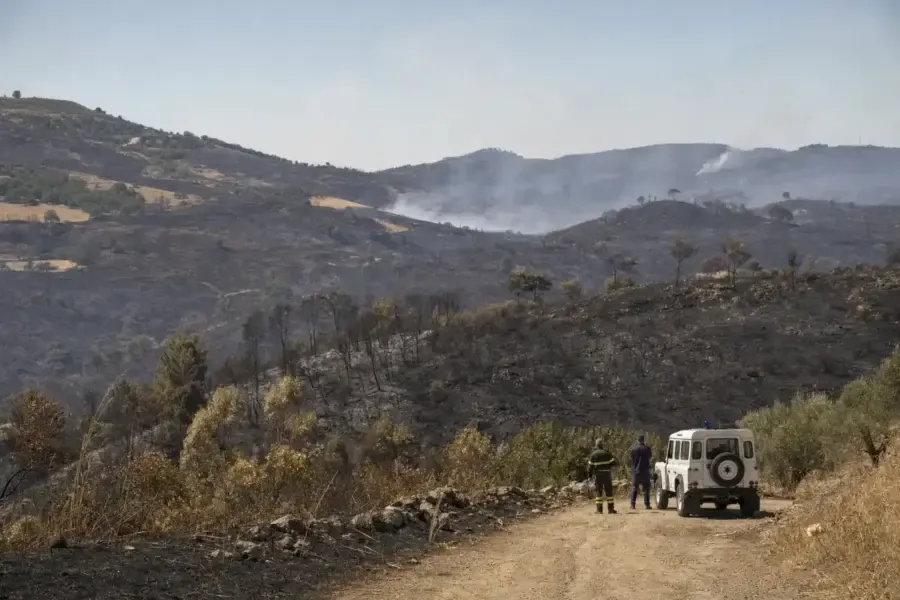 Italia in fiamme: oltre 1070 grandi incendi boschivi in sette mesi – Ecoblog