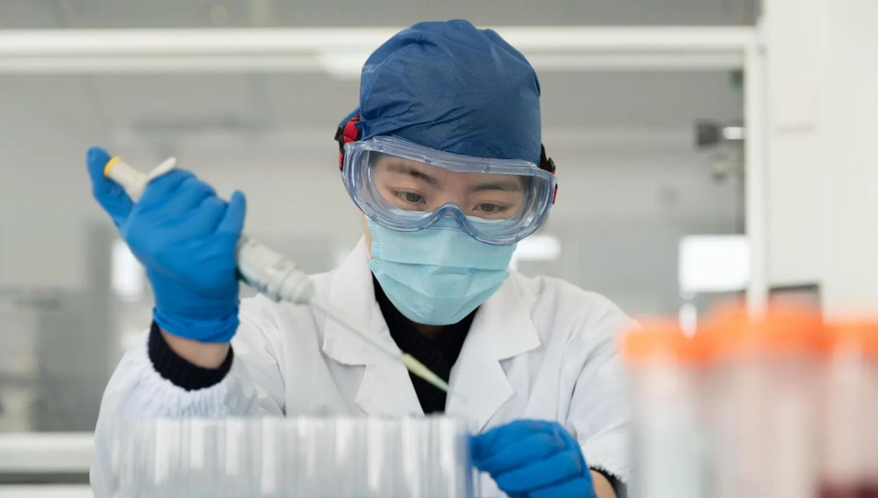 Virus Shamonda: confermato primo contagio umano, un morto a Lione