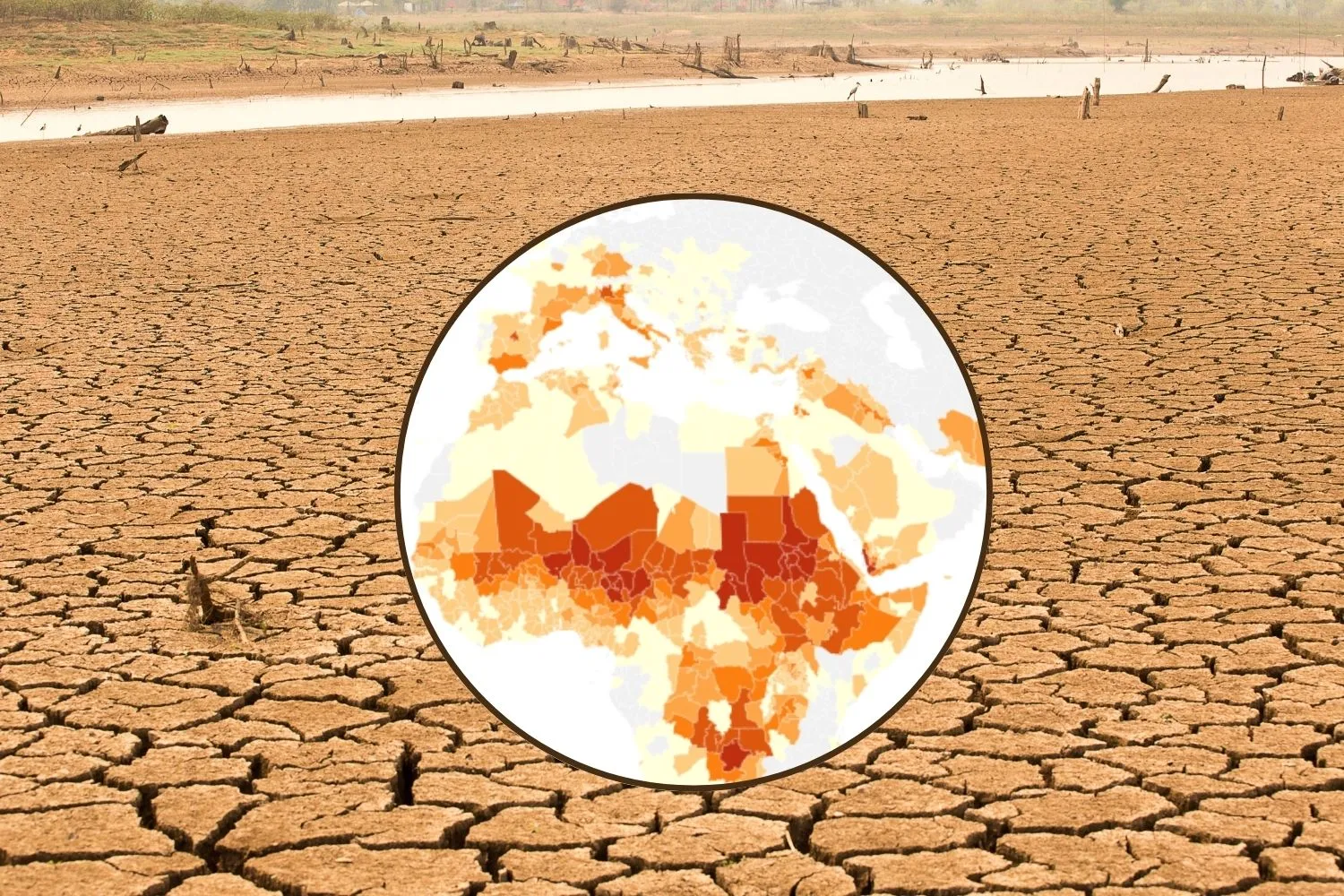 Super El Niño, l’Italia tra i 50 Paesi più a rischio: il caldo estremo potrebbe causare 451mila morti nel mondo (in pochi mesi)