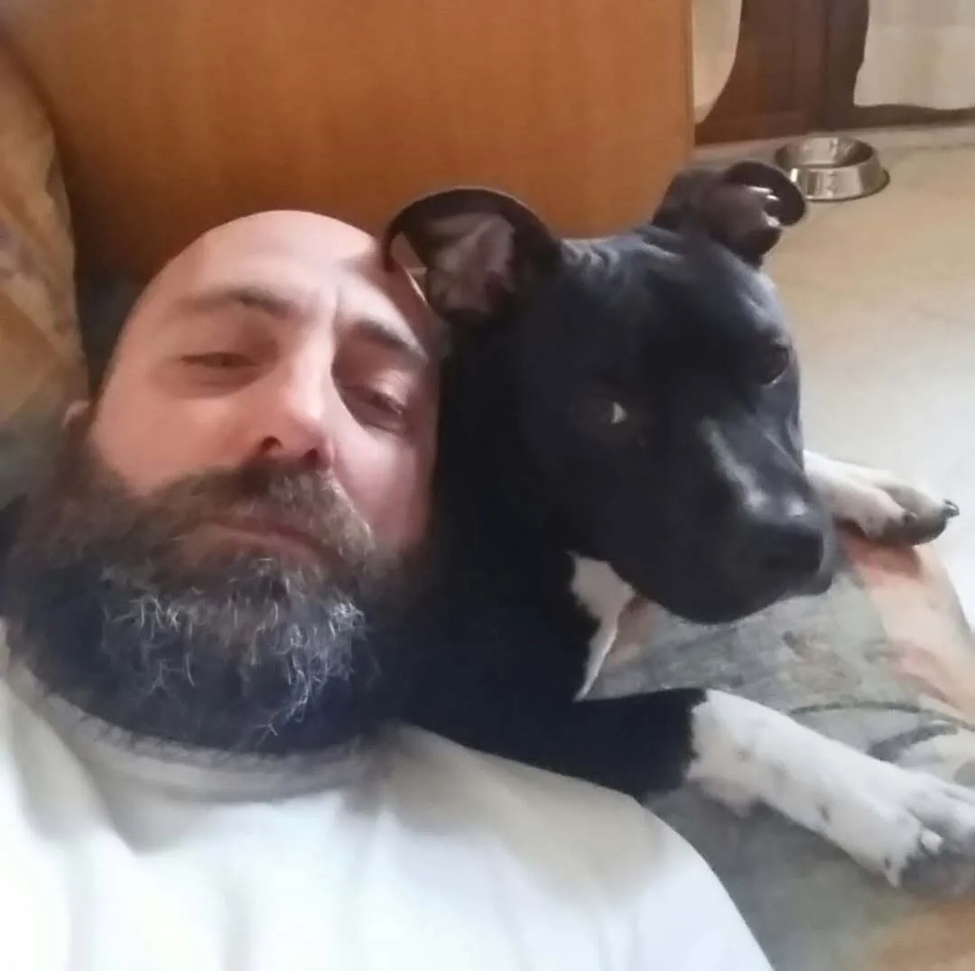 Muore all’improvviso a 52 anni e lascia 16 cani: il Comune lancia l'appello per adottarli