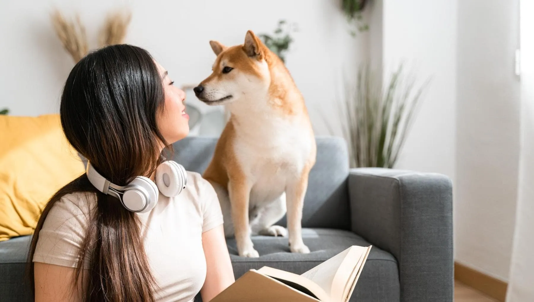 Il tuo cane ti sbatte le palpebre? È per dirti che...