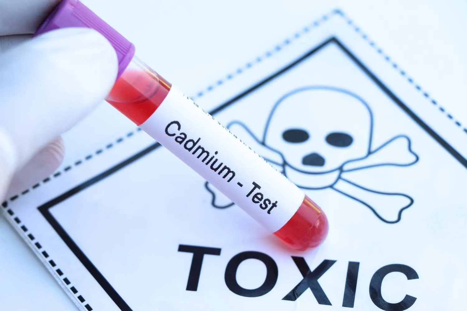 La Francia dichiara guerra al cadmio: approvato il ddl che limita la sostanza cancerogena nel cibo e nei campi