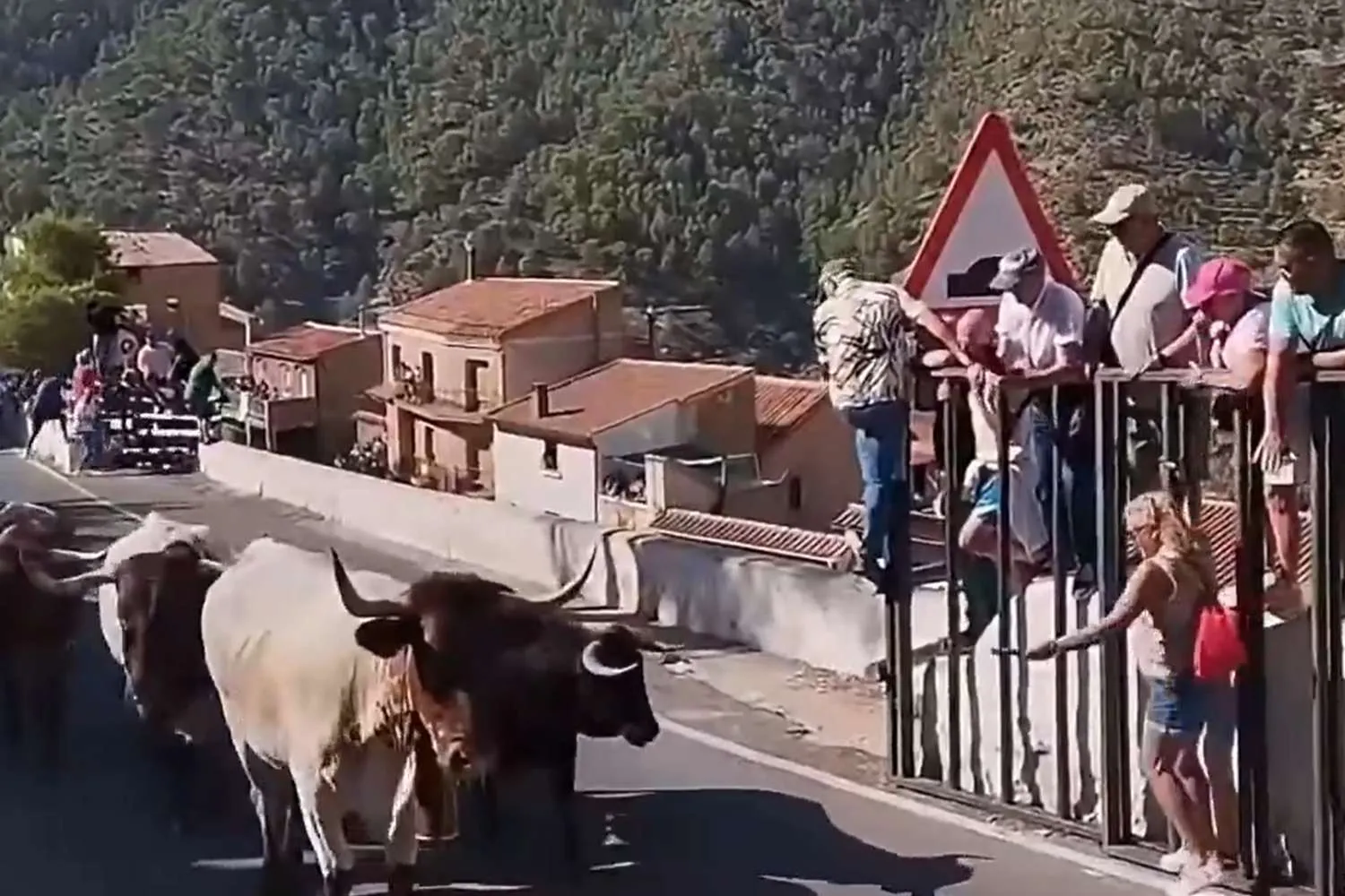 Muore incornata da un toro durante l'encierro, choc davanti alla folla in Spagna: basta tragedie annunciate!