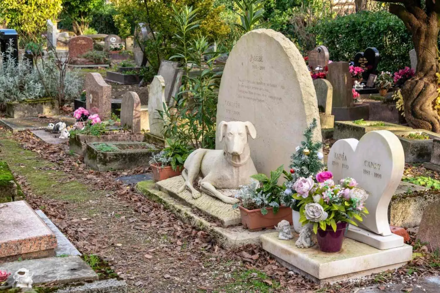 Uniti per sempre: in questo comune della Toscana si potrà essere seppelliti insieme ai propri animali domestici