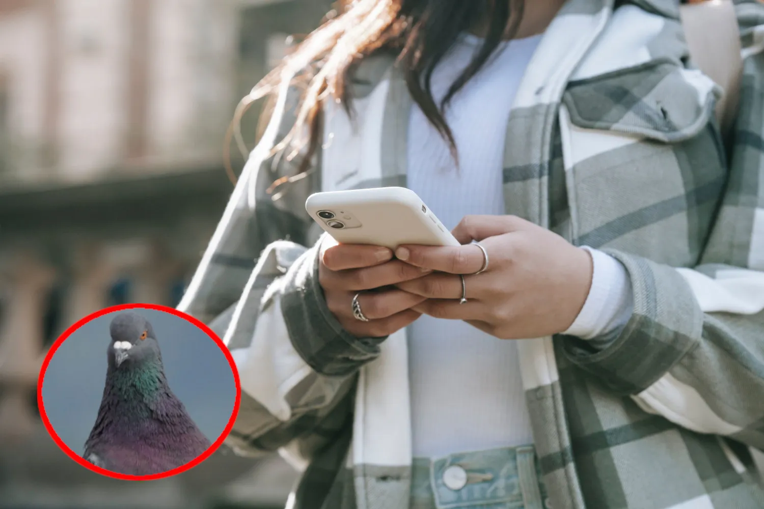 Ansia nel rispondere subito ai messaggi? Quest’app li invia alla velocità dei piccioni viaggiatori (e ci invita a rallentare)