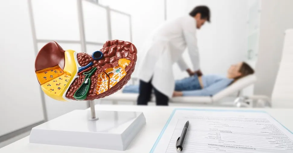 Epatiti, 2 mln di nuovi casi e 1,3 mln di morti l’anno:  ecco perché non bisogna abbassare la guardia